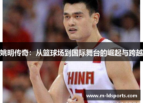 姚明传奇：从篮球场到国际舞台的崛起与跨越