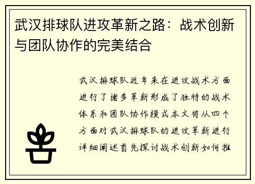 武汉排球队进攻革新之路：战术创新与团队协作的完美结合