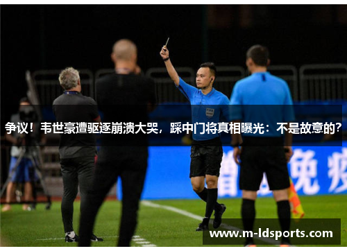 争议！韦世豪遭驱逐崩溃大哭，踩中门将真相曝光：不是故意的？
